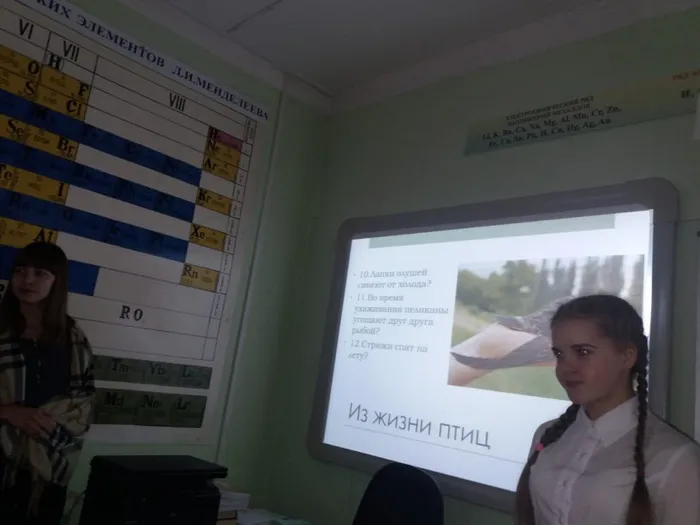 викторина 6 класс (7)