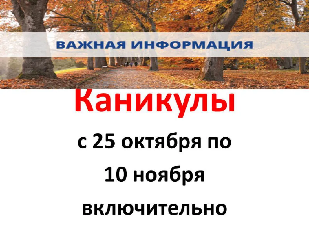 Слайд1.JPG