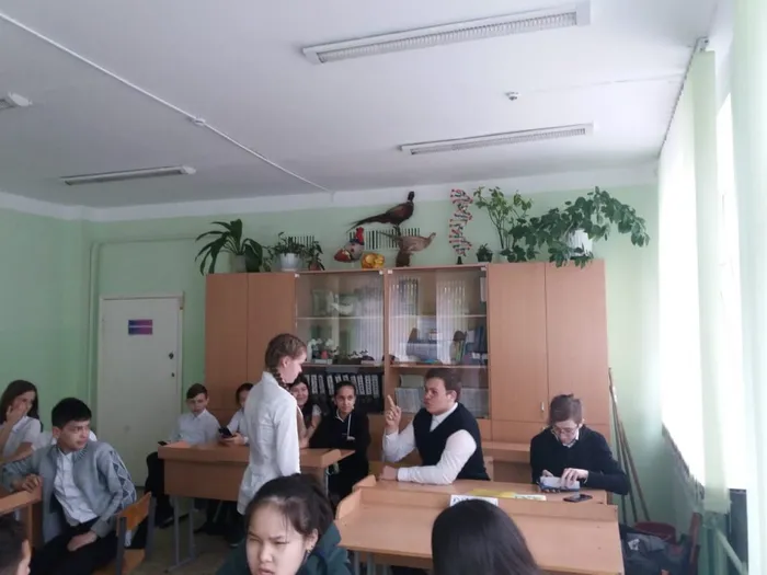 викторина 6 класс (6)