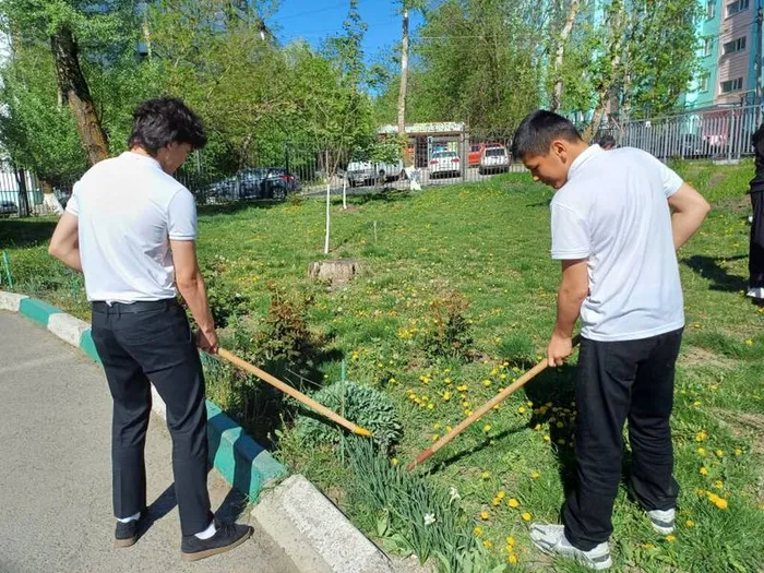 IMG-20240419-WA0029